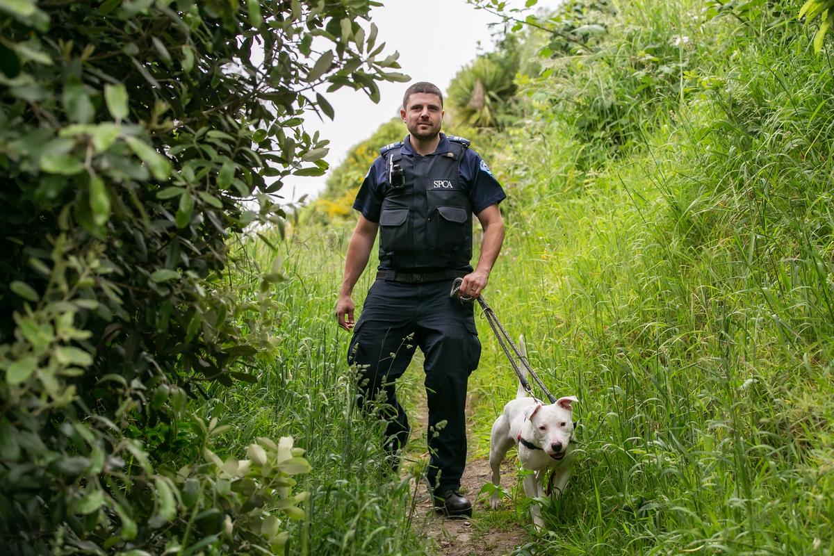 Inspector Ben at work