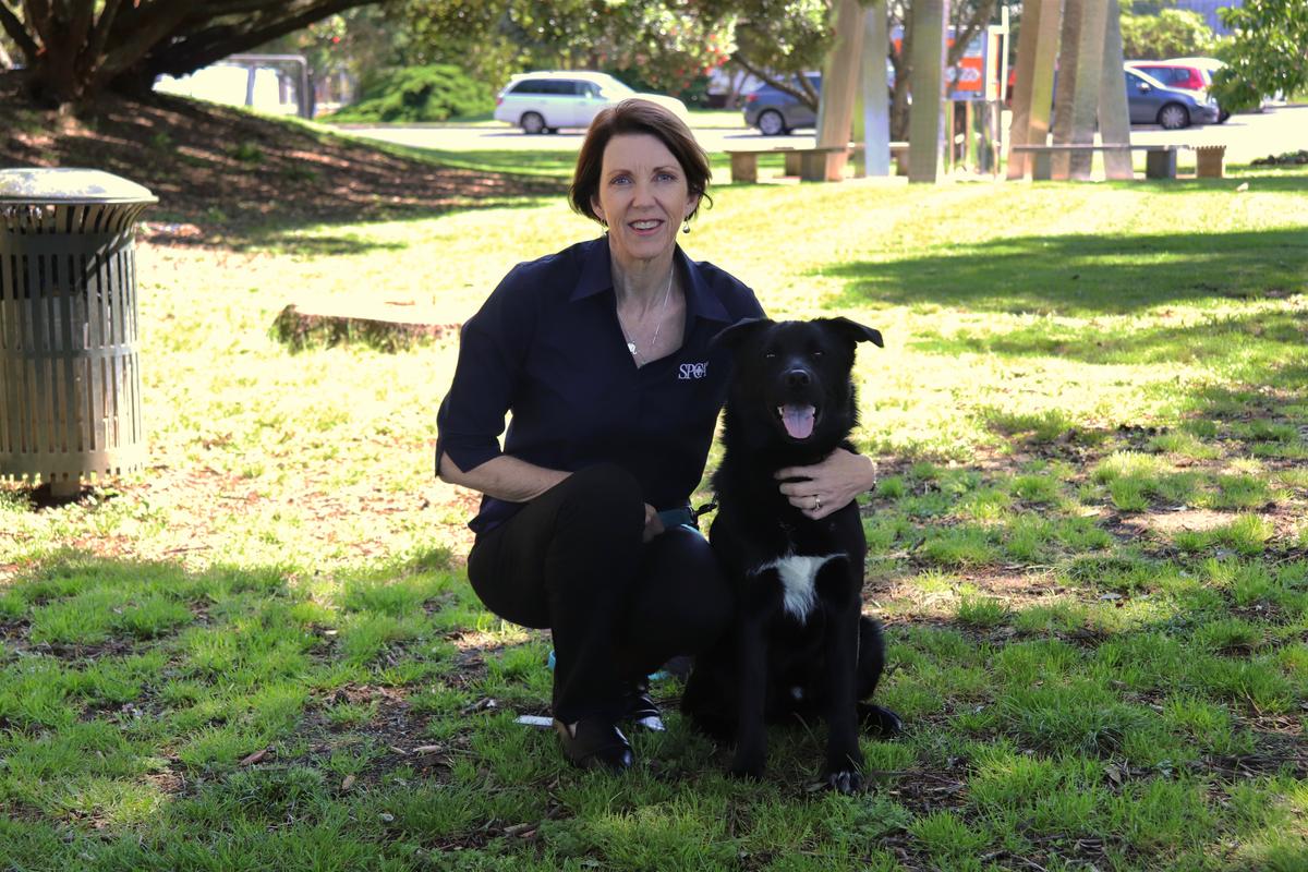SPCA CEO Andrea Midgen to step down after ‘incredible’ seven years in role 