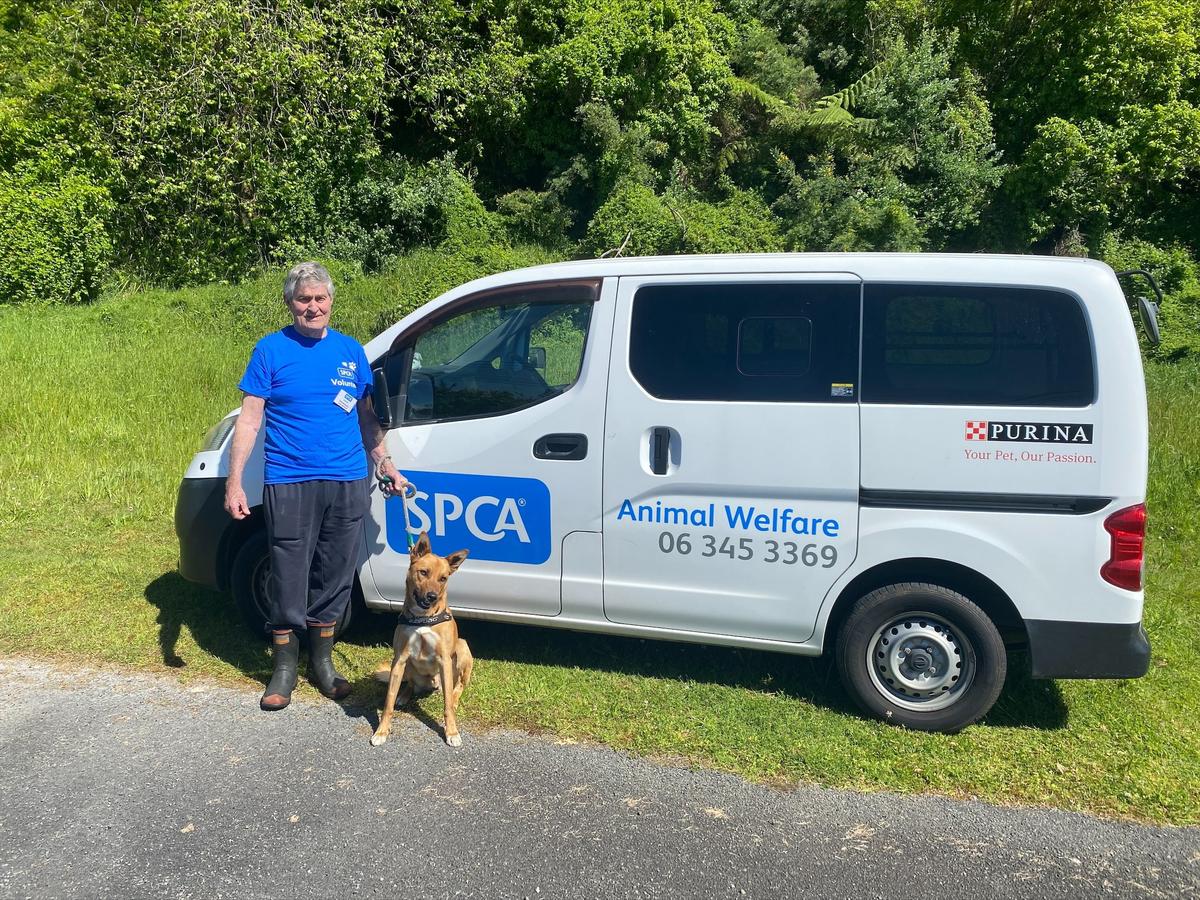 Working as one for the animals