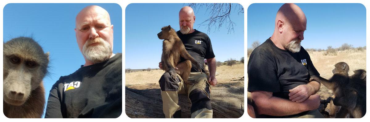 Kevin working with the Baboons