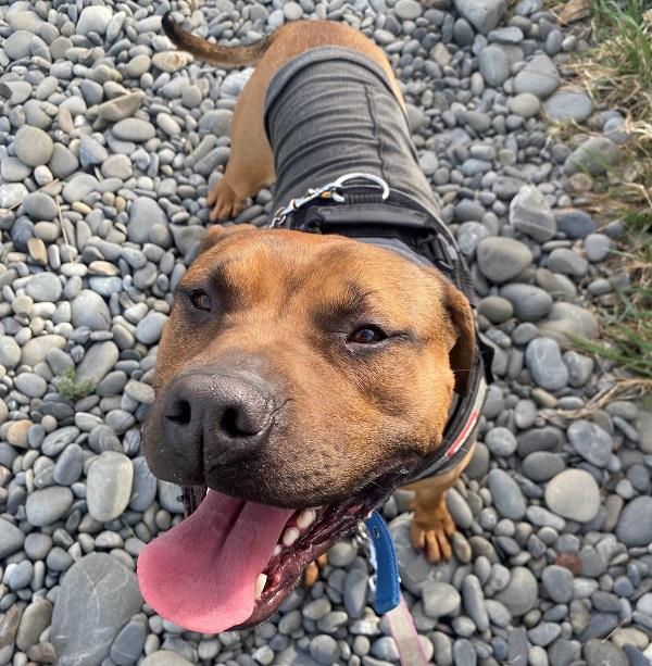 Archie smiling