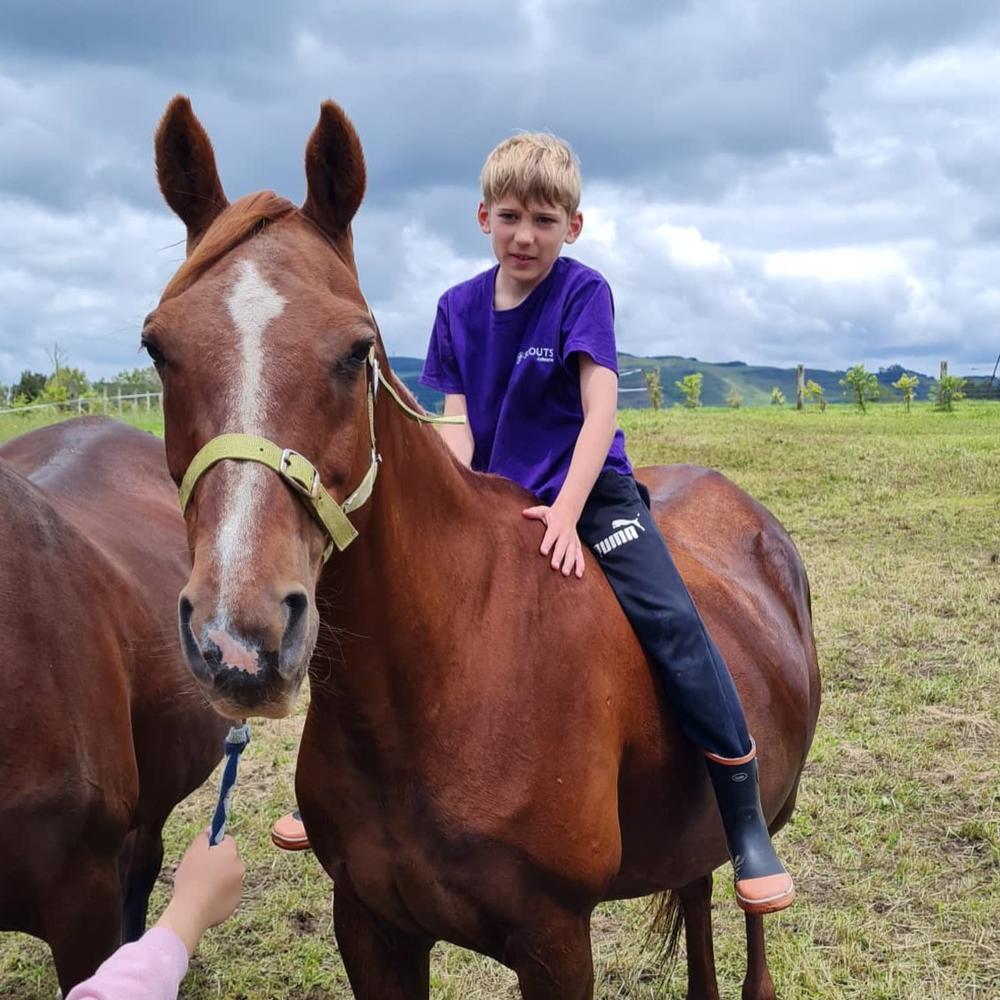 Spice is thriving teaching kids at the riding school and through pet therapy.