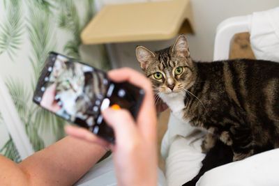 SPCA’s ‘Pets of the Year’ calendar competition is back! 